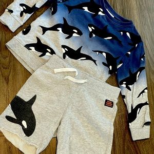 H&M shark short set